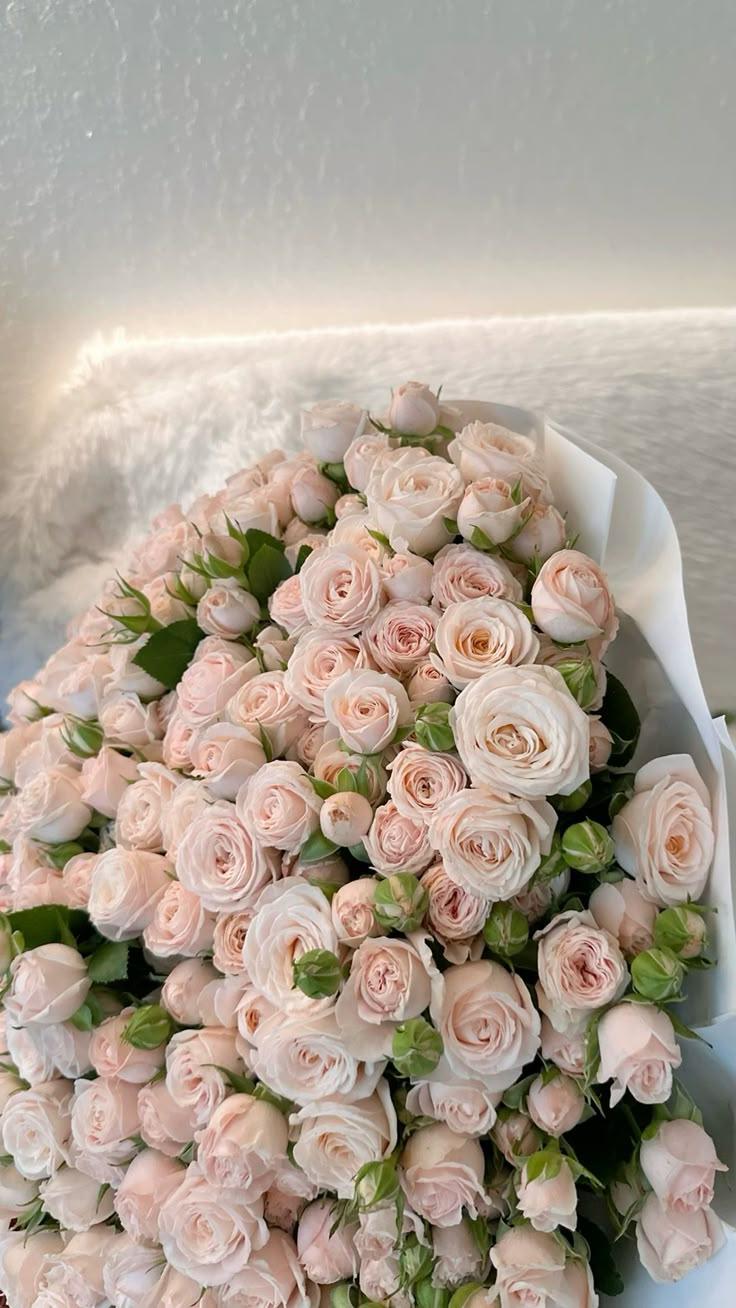 Sunset Romance: Warm Hued Petal Symphony